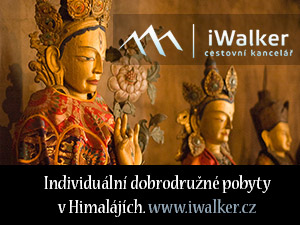 iwalker